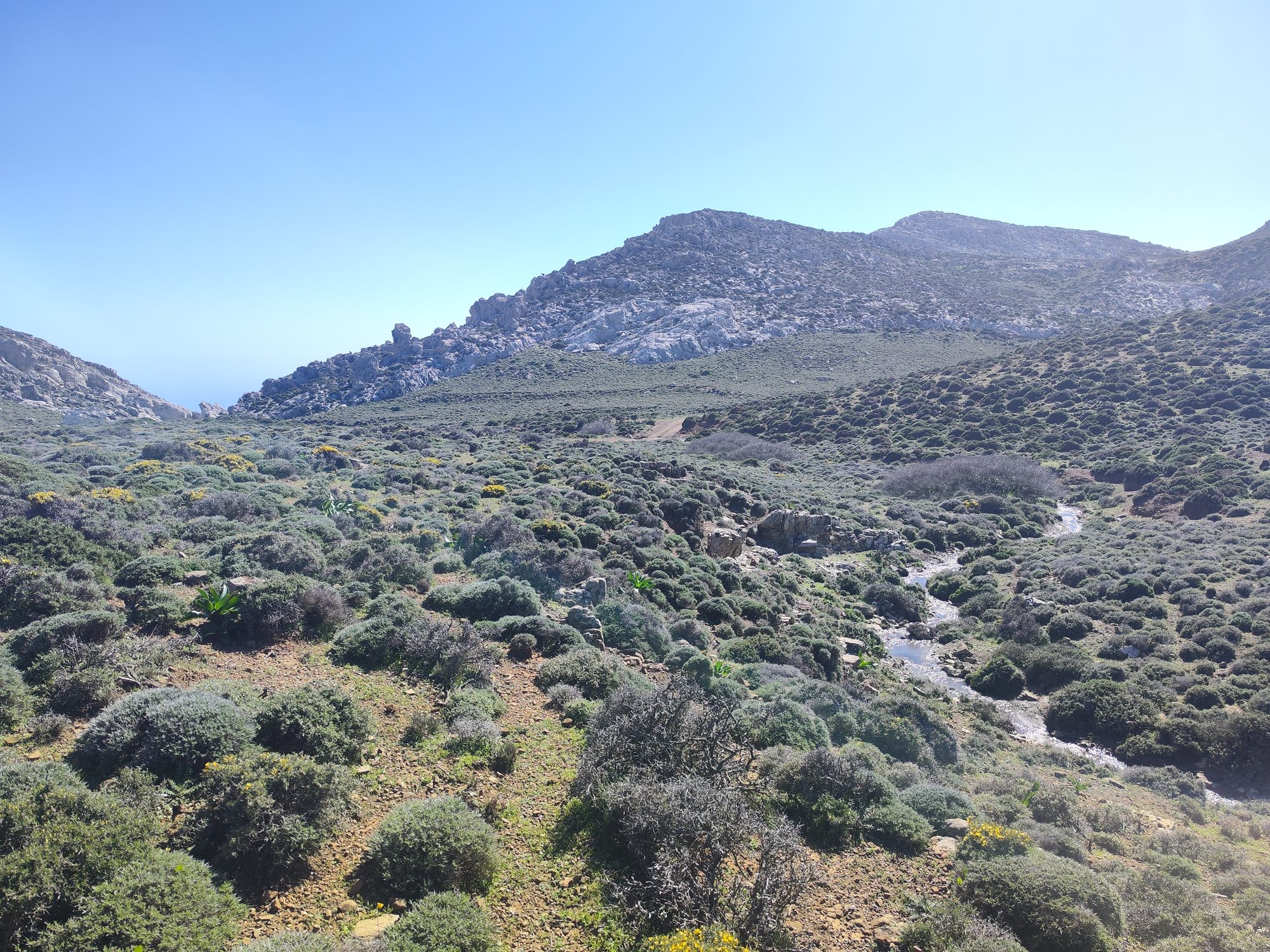 Sarcopoterium spinosum phryganas, habitat 5420