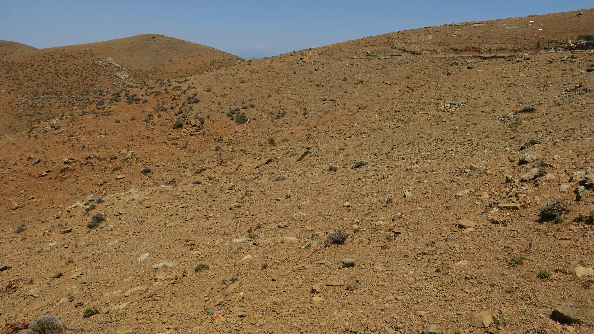 Severe overgrazing
