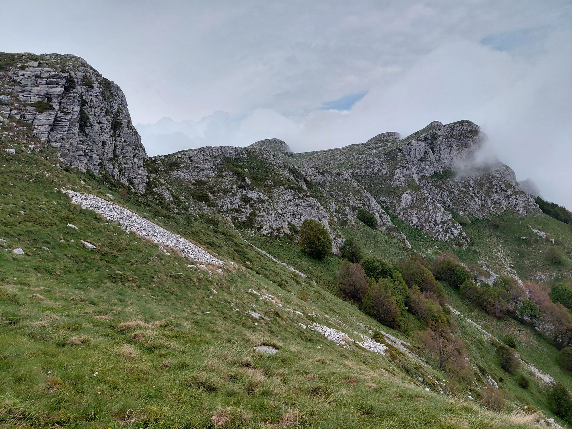 Calcareous rocky slopes, habitat 8210