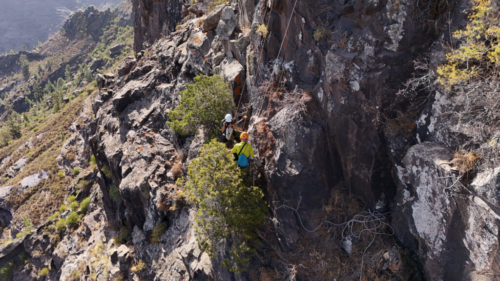 Technicians collecting juniper fruits on the steep slopes of La Fuente Mountain